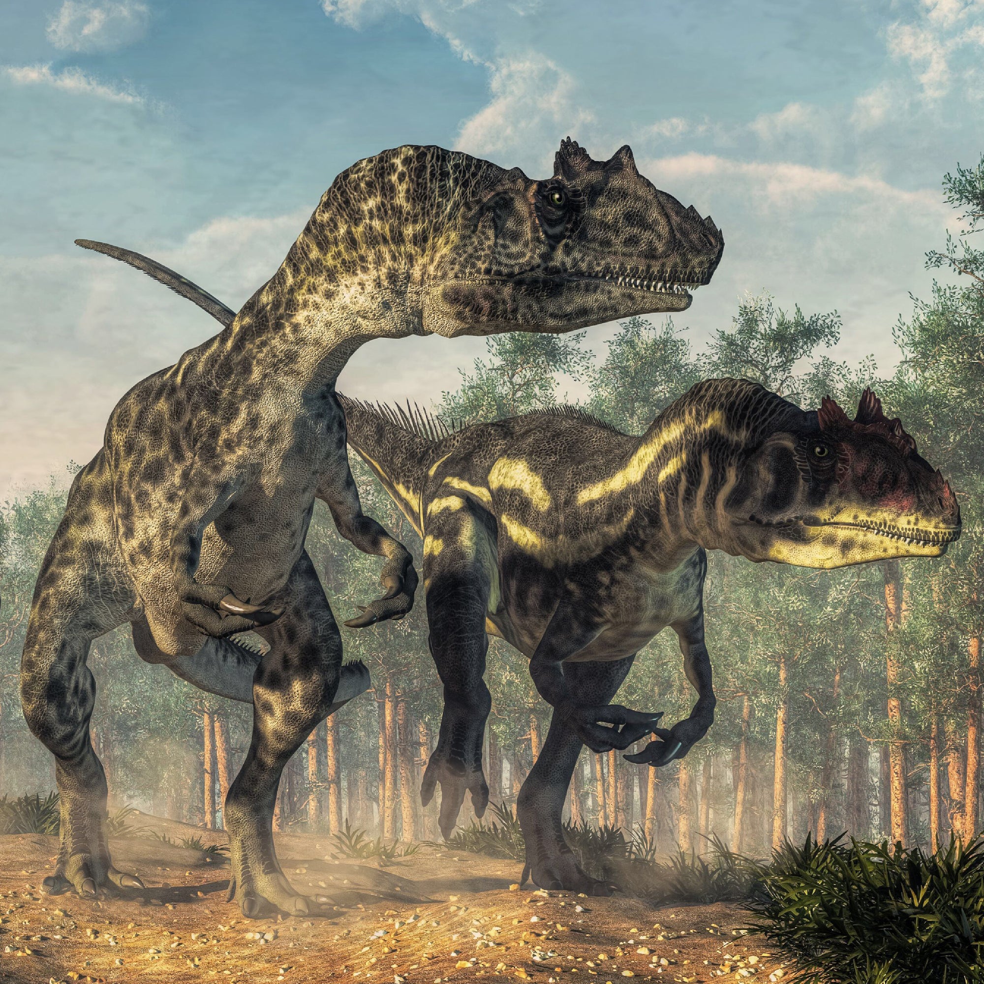Allosaurus Vertebra - Image 3