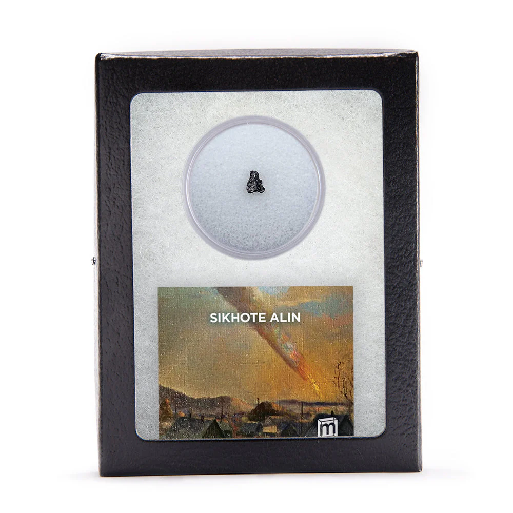 Sikhote Alin Meteorite - Image 3